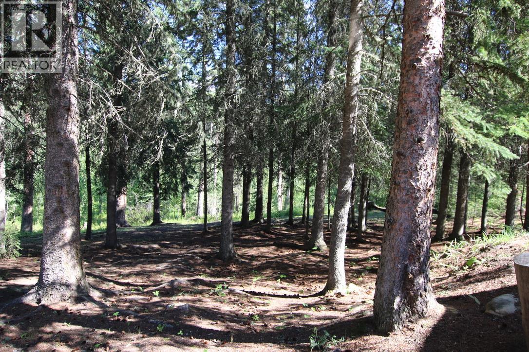 40/48 Kinuseo Place, Tumbler Ridge, British Columbia  V0C 2W0 - Photo 43 - 10398116