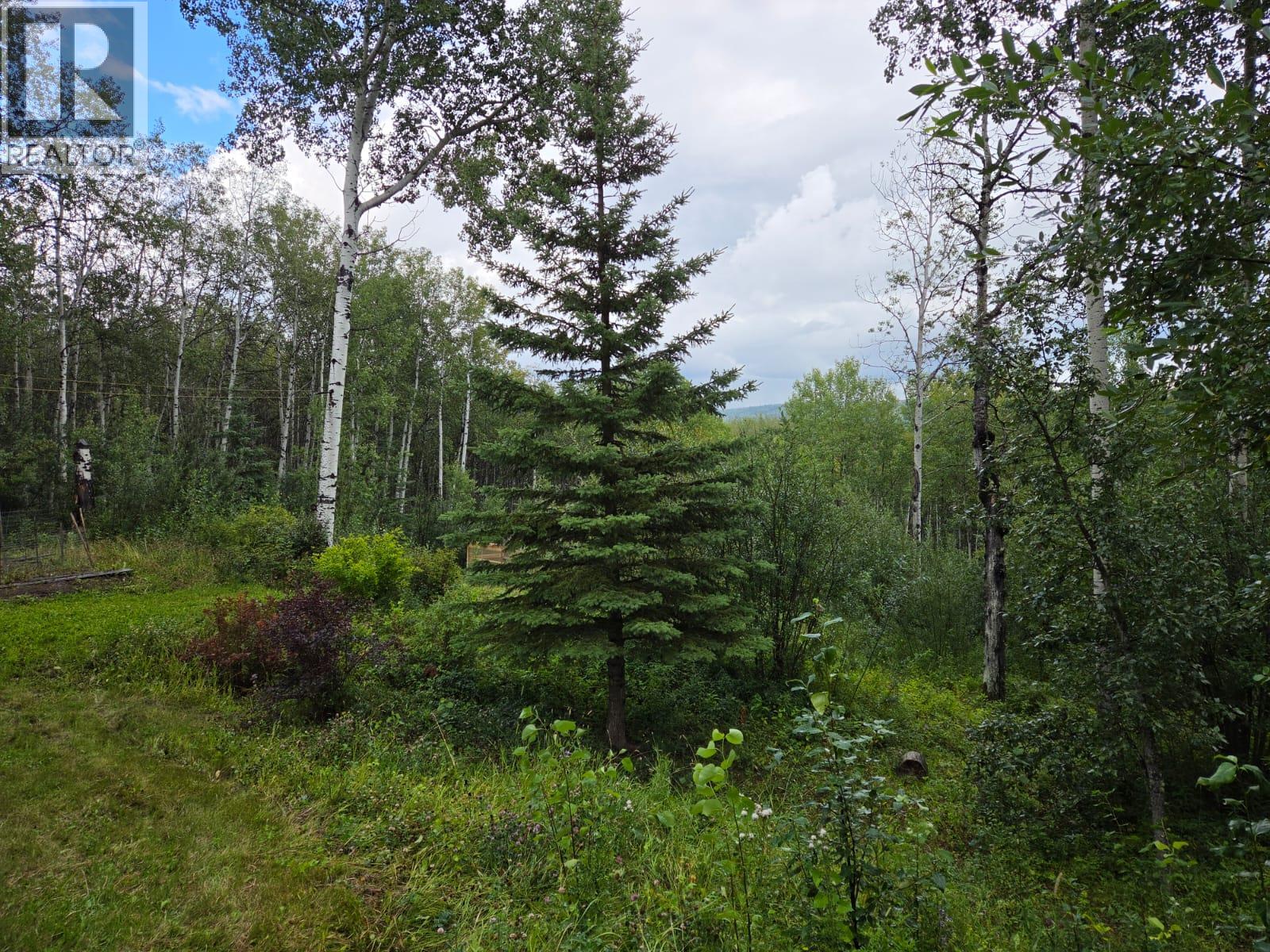 2965, Lot E Nichols Sub, Chetwynd, British Columbia  V0C 1J0 - Photo 64 - 10397996