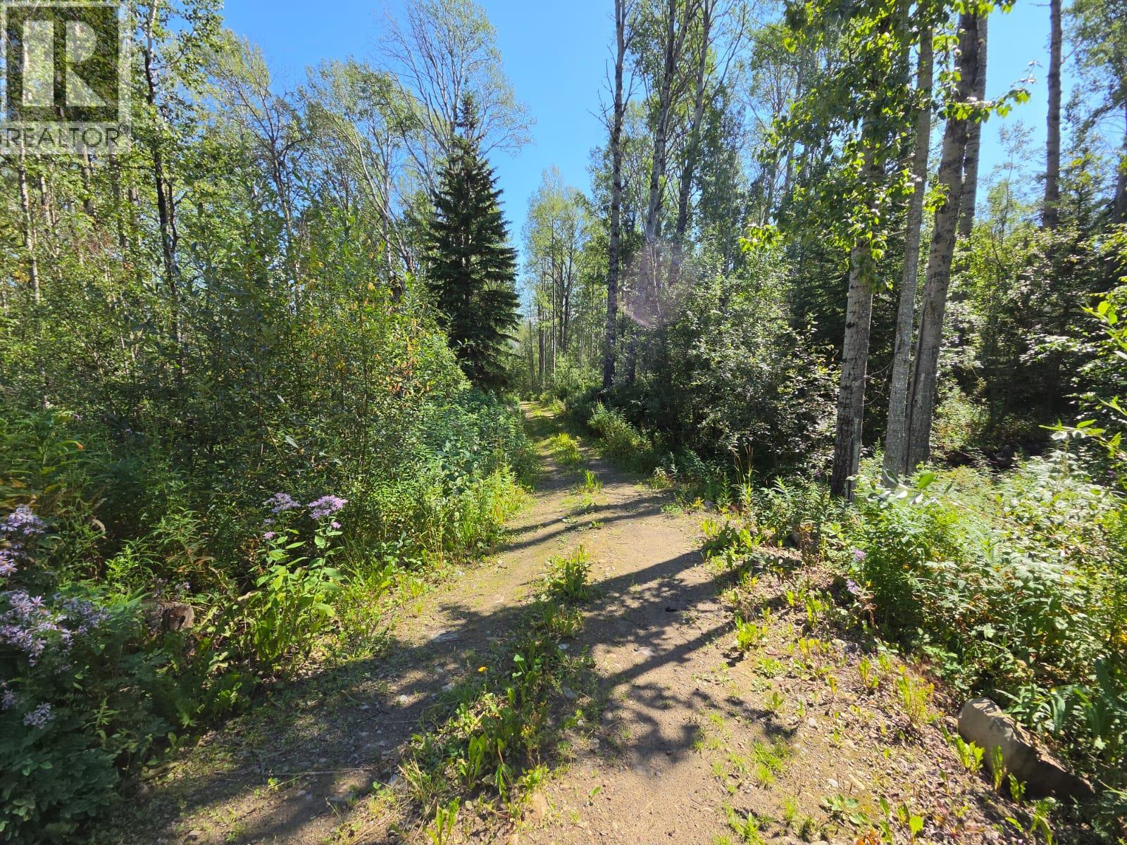 2965, Lot E Nichols Sub, Chetwynd, British Columbia  V0C 1J0 - Photo 65 - 10397996