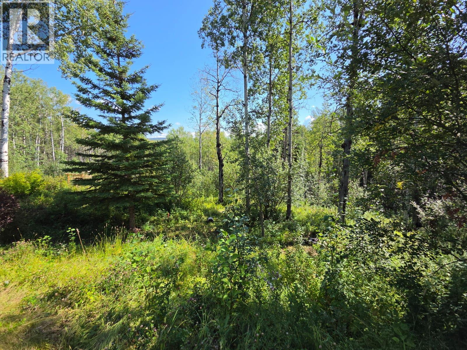 2965, Lot E Nichols Sub, Chetwynd, British Columbia  V0C 1J0 - Photo 66 - 10397996