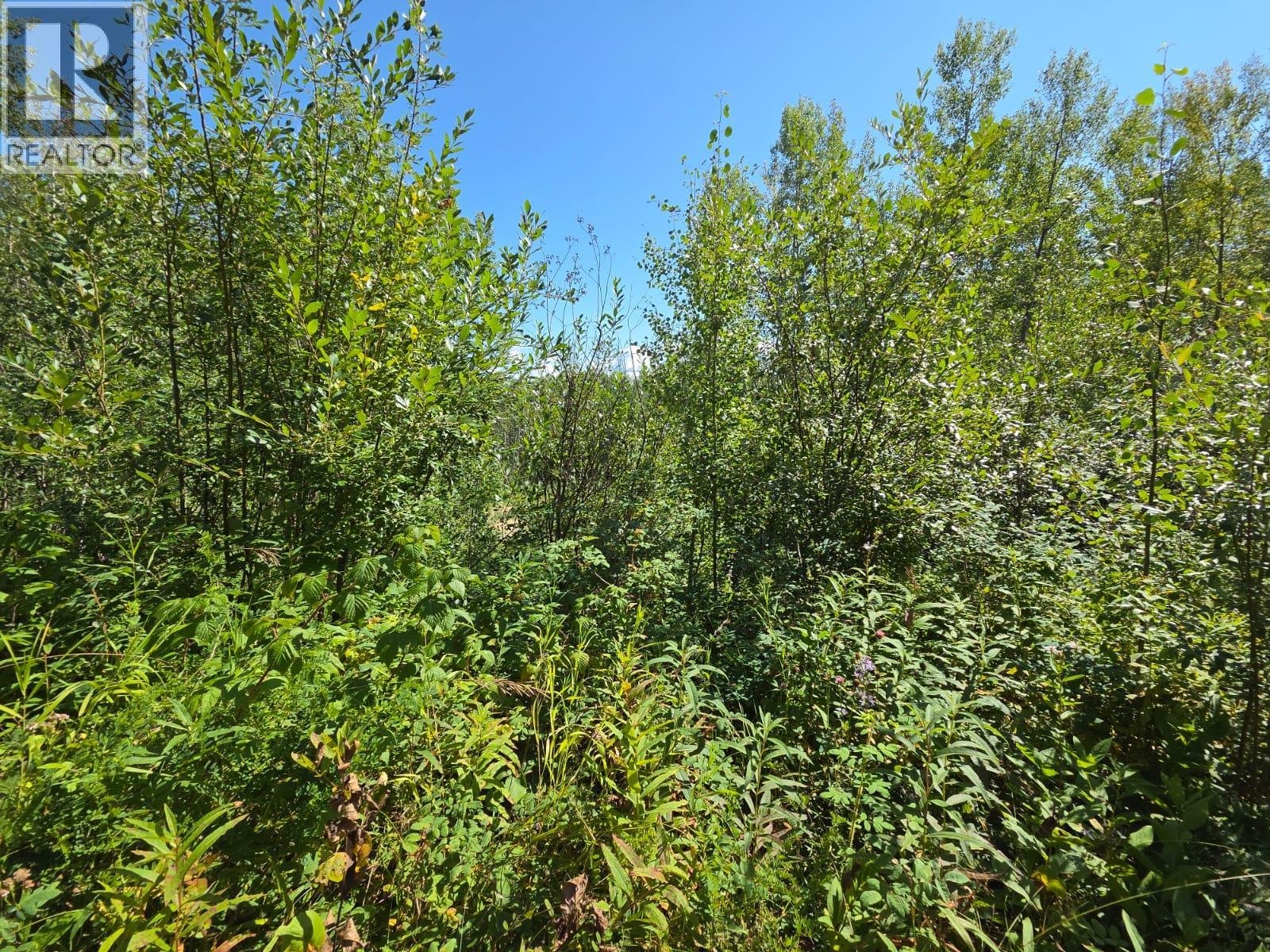 2965, Lot E Nichols Sub, Chetwynd, British Columbia  V0C 1J0 - Photo 73 - 10397996
