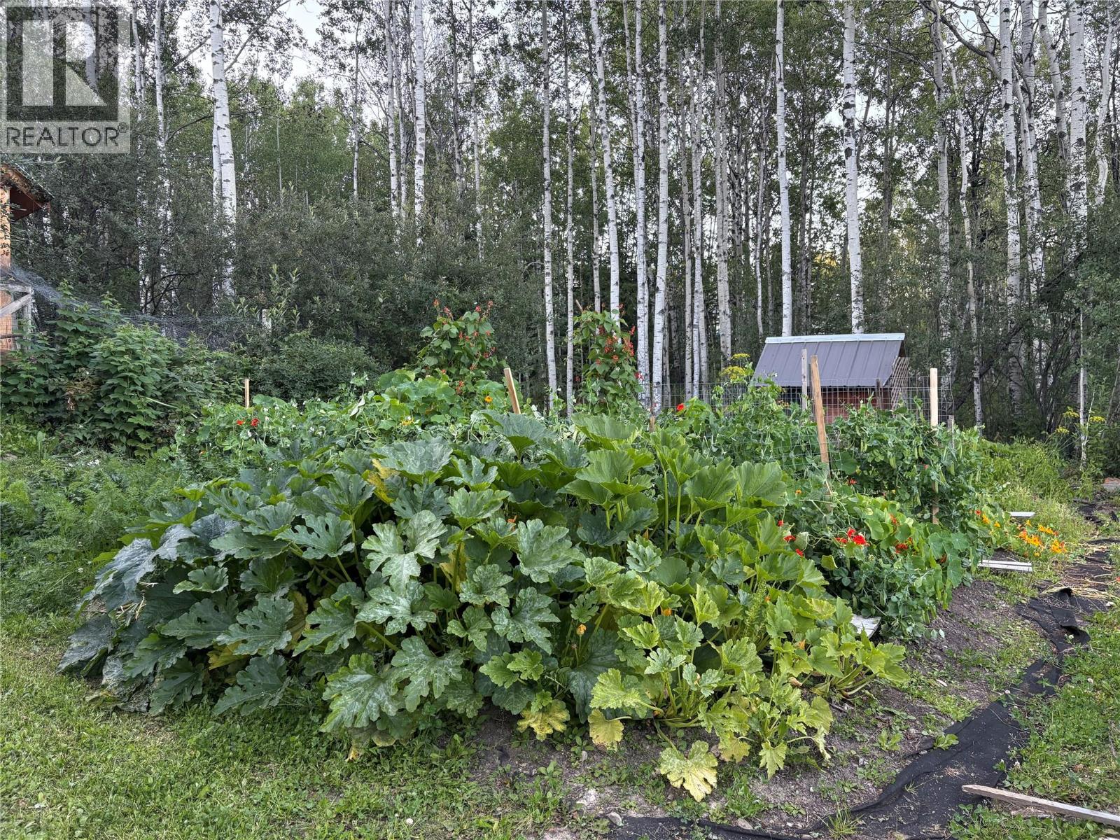 2965, Lot E Nichols Sub, Chetwynd, British Columbia  V0C 1J0 - Photo 87 - 10397996
