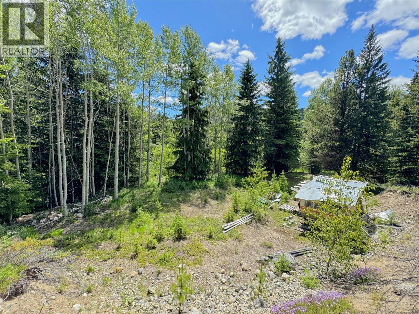 Lot 4 Princeton Summerland Road, Princeton, British Columbia  V0X 1W0 - Photo 2 - 10397063