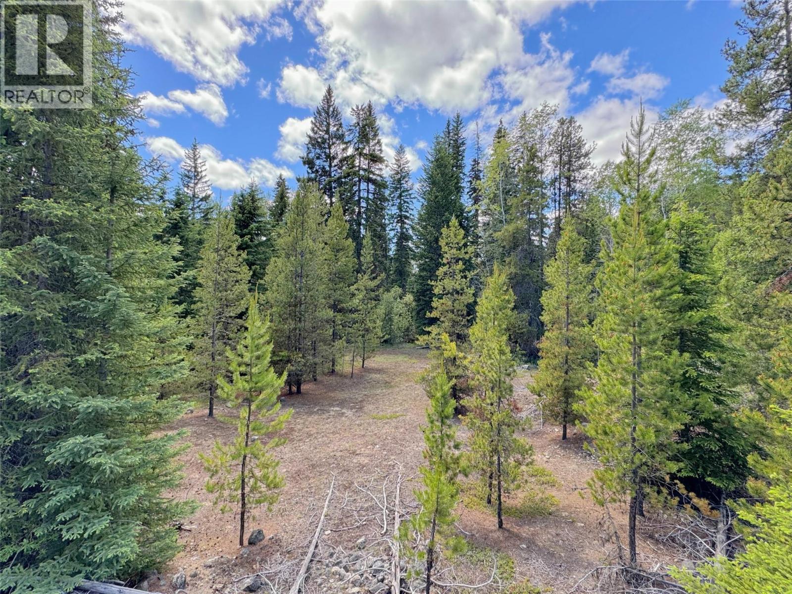 Lot 4 Princeton Summerland Road, Princeton, British Columbia  V0X 1W0 - Photo 3 - 10397063