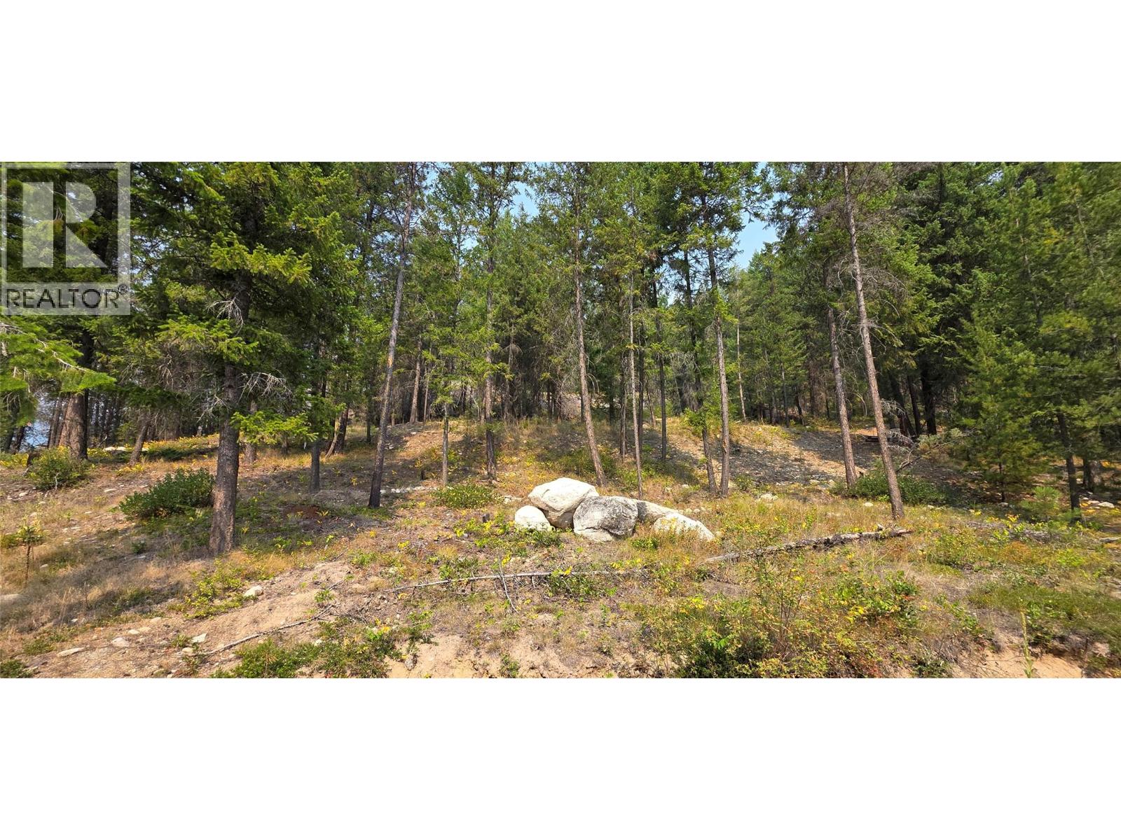 4820 Highway 33, Beaverdell, British Columbia  V0H 1A0 - Photo 67 - 10398038