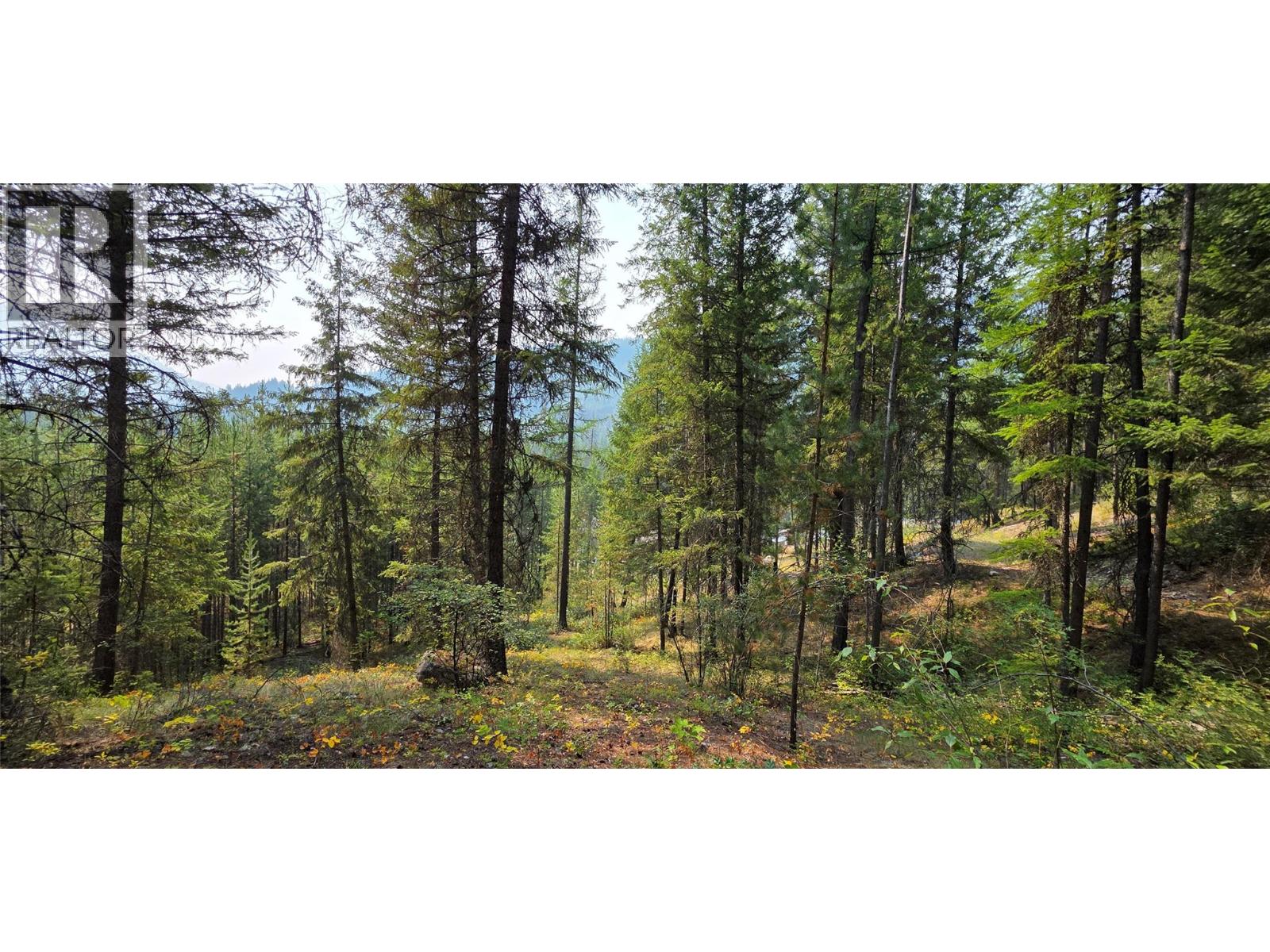 4820 Highway 33, Beaverdell, British Columbia  V0H 1A0 - Photo 70 - 10398038