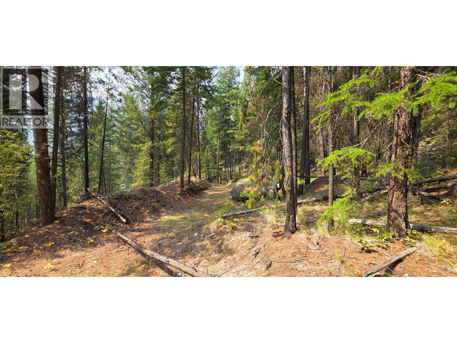 4820 Highway 33, Beaverdell, British Columbia  V0H 1A0 - Photo 71 - 10398038