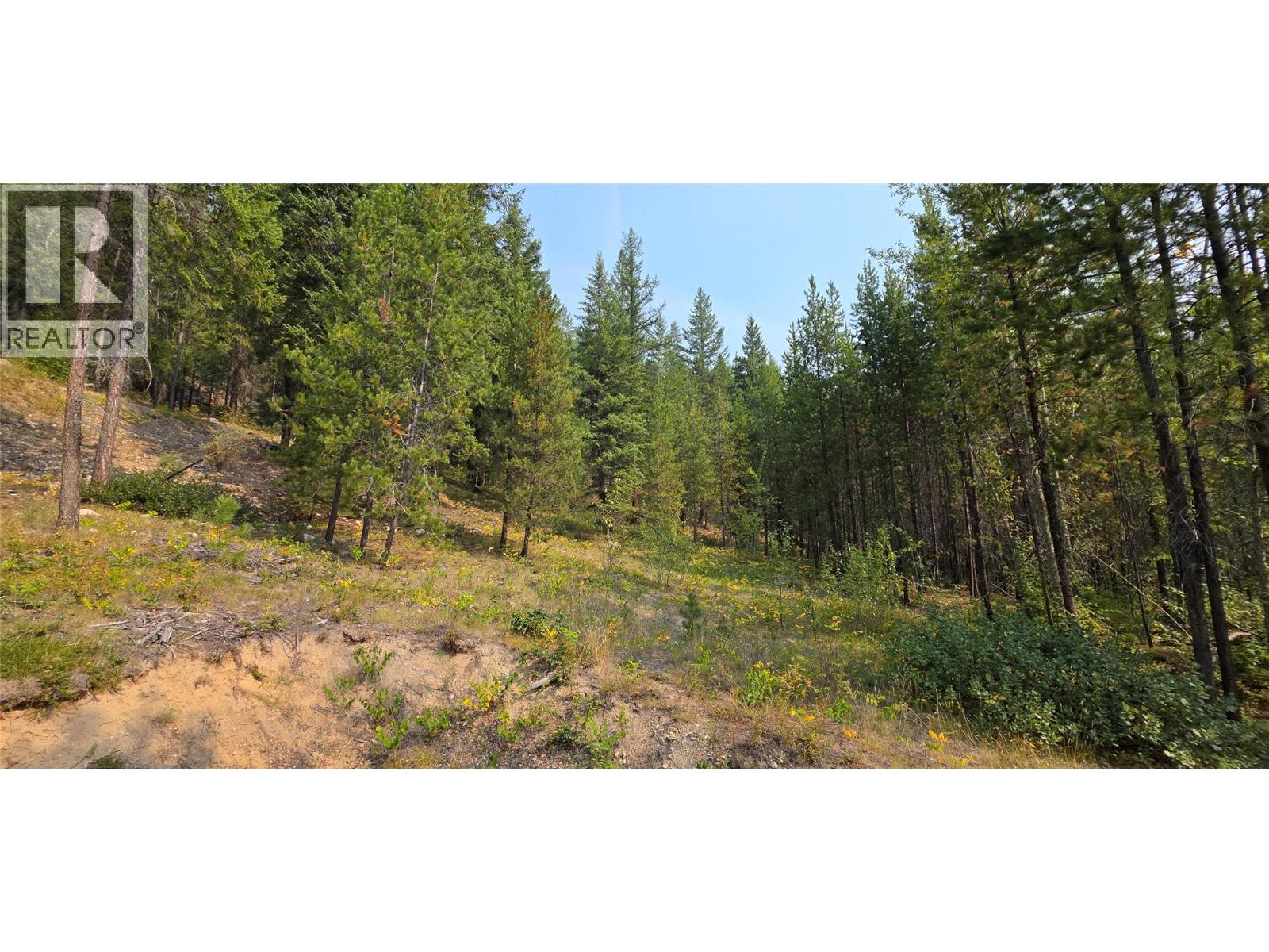 4820 Highway 33, Beaverdell, British Columbia  V0H 1A0 - Photo 79 - 10398038