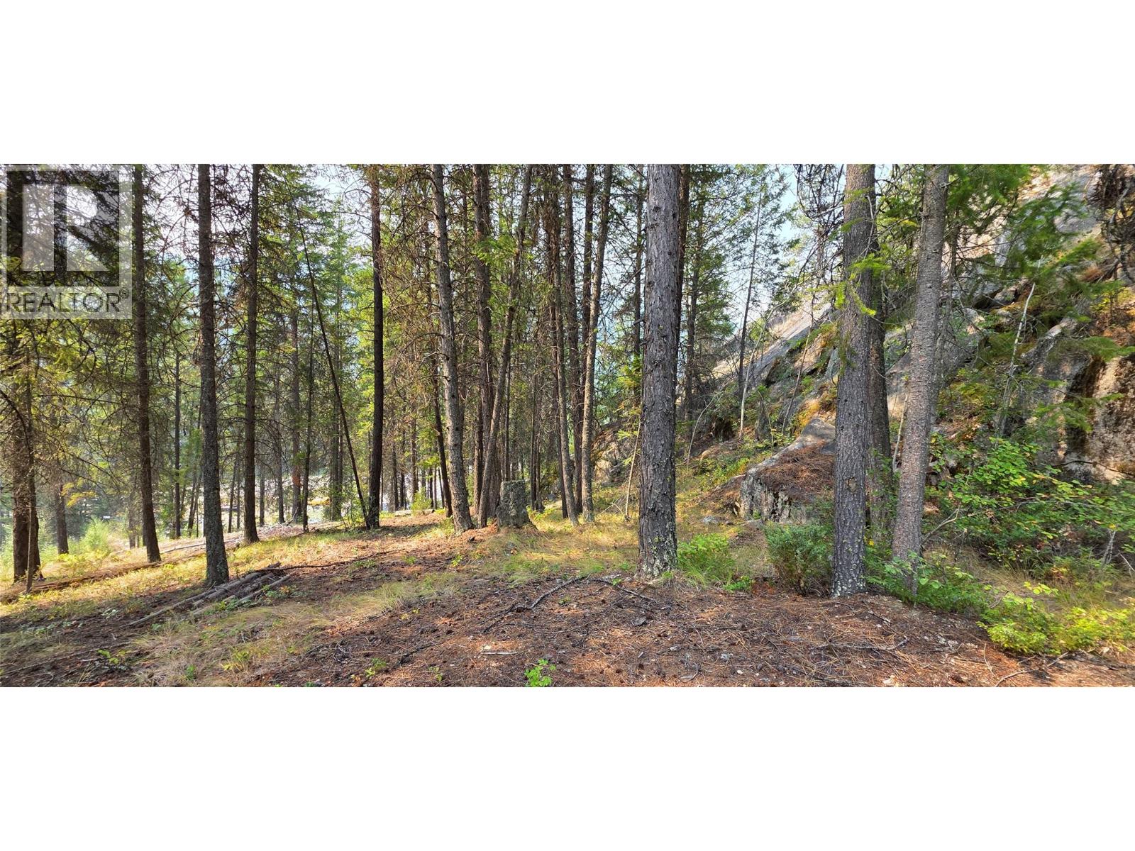 4820 Highway 33, Beaverdell, British Columbia  V0H 1A0 - Photo 82 - 10398038