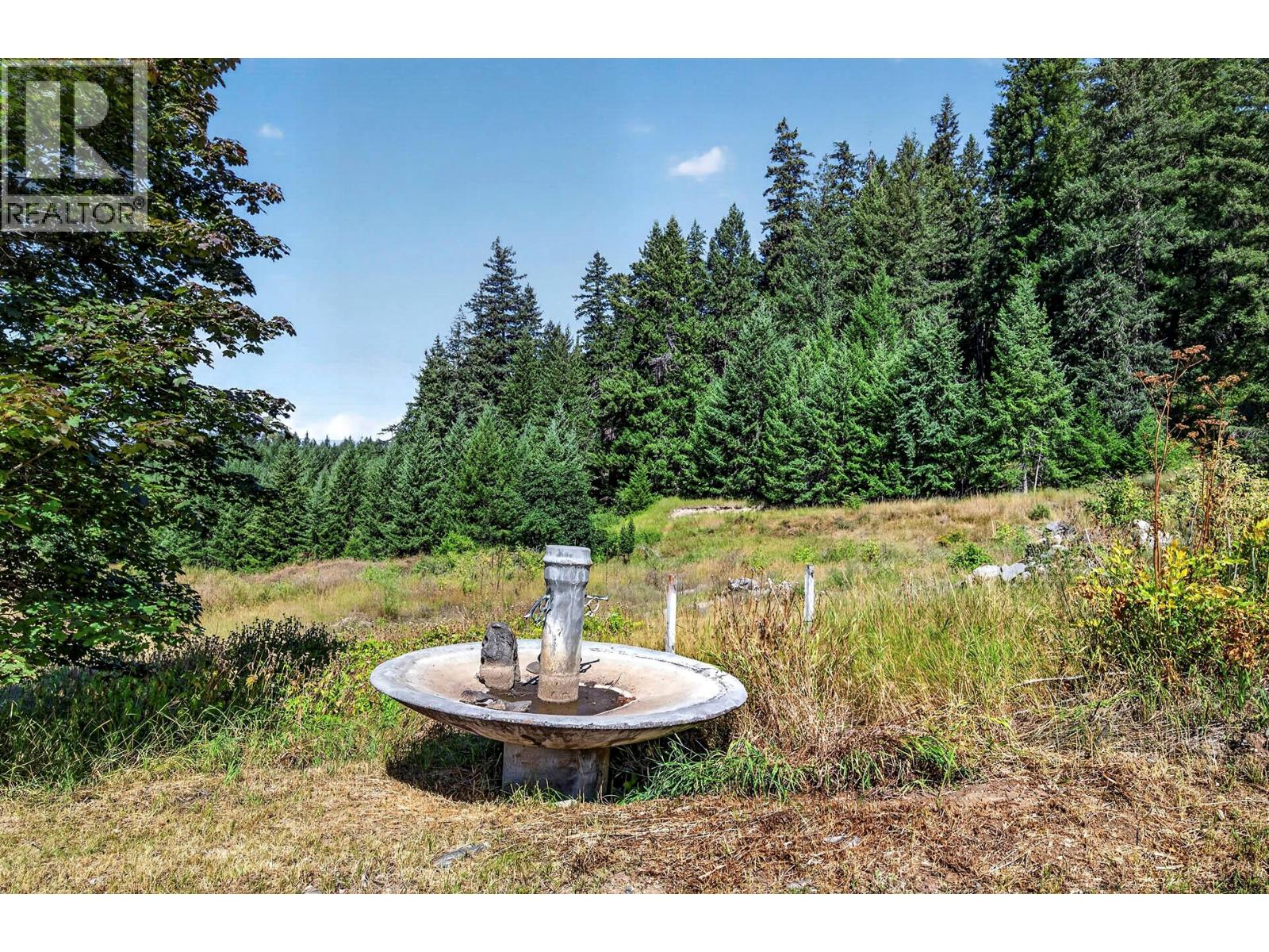 1711 Burman Road, Clearwater, British Columbia  V0E 1N0 - Photo 60 - 10397273