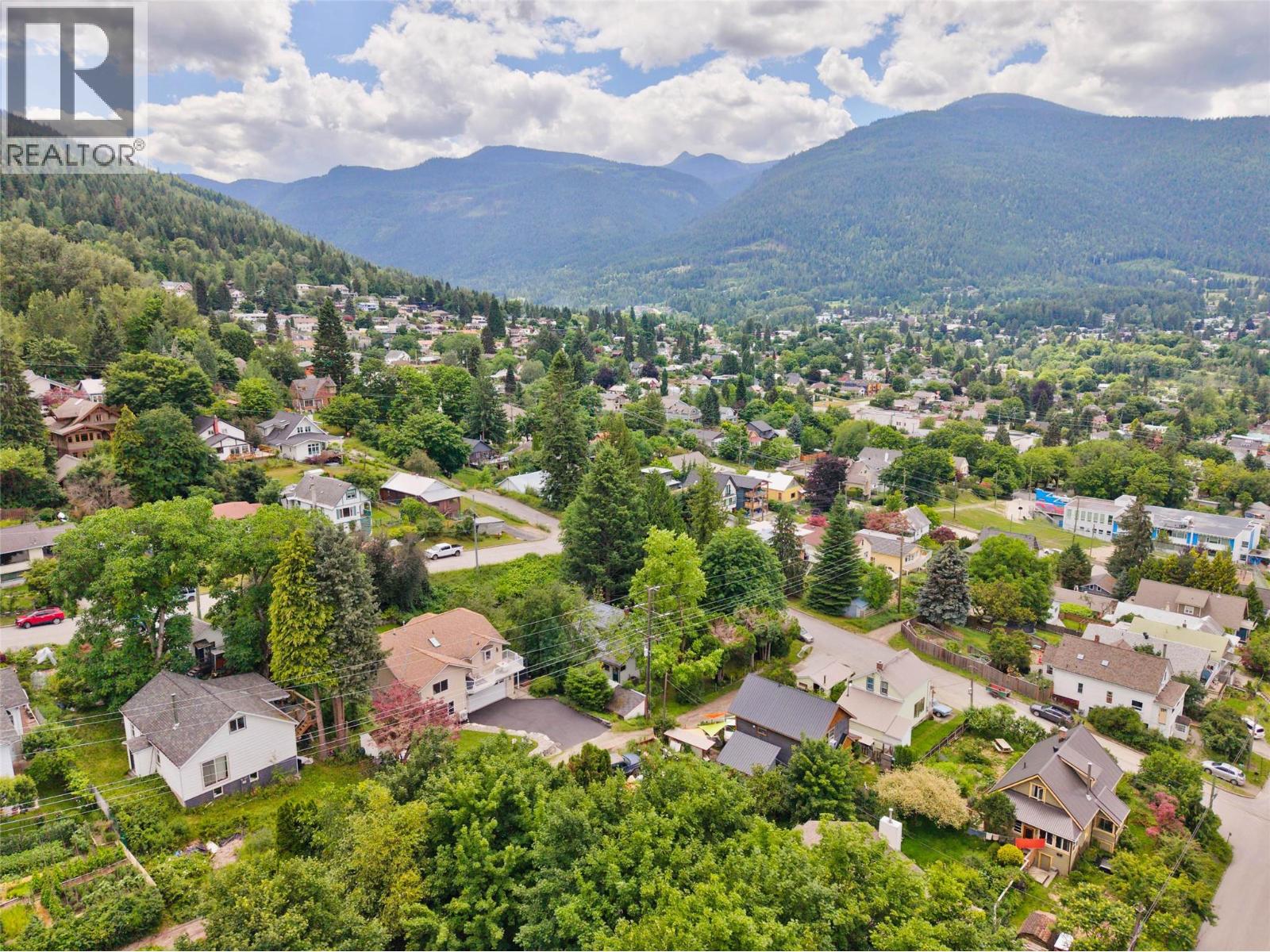 1007 Hoover Street, Nelson, British Columbia  V1L 4X9 - Photo 60 - 10398131