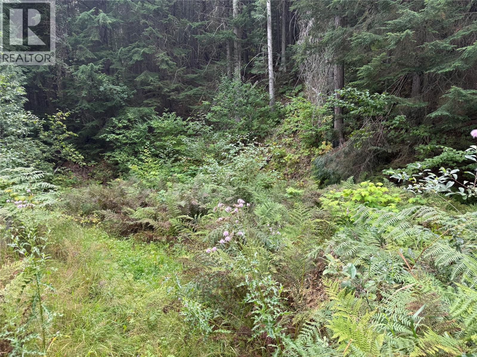 3420 Pass Creek Road, Krestova, British Columbia  V0G 1H2 - Photo 18 - 10398126