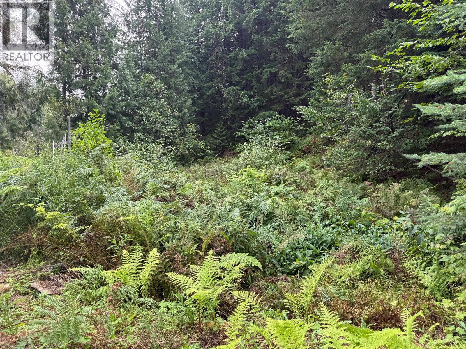 3420 Pass Creek Road, Krestova, British Columbia  V0G 1H2 - Photo 19 - 10398126