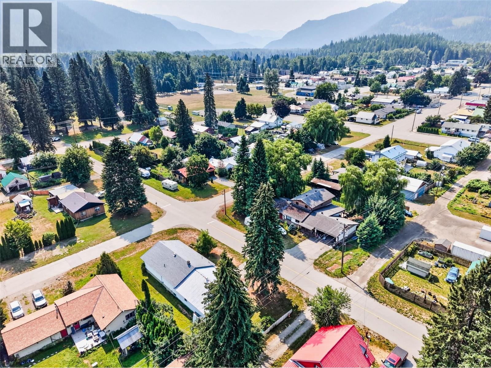115 Second Street, Salmo, British Columbia  V0G 1Z0 - Photo 51 - 10398188