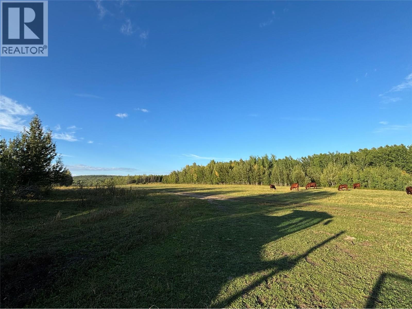 768,769,770,771 Hobbs Road Lot# Dlot, Chetwynd, British Columbia  V0C 1J0 - Photo 10 - 10397959