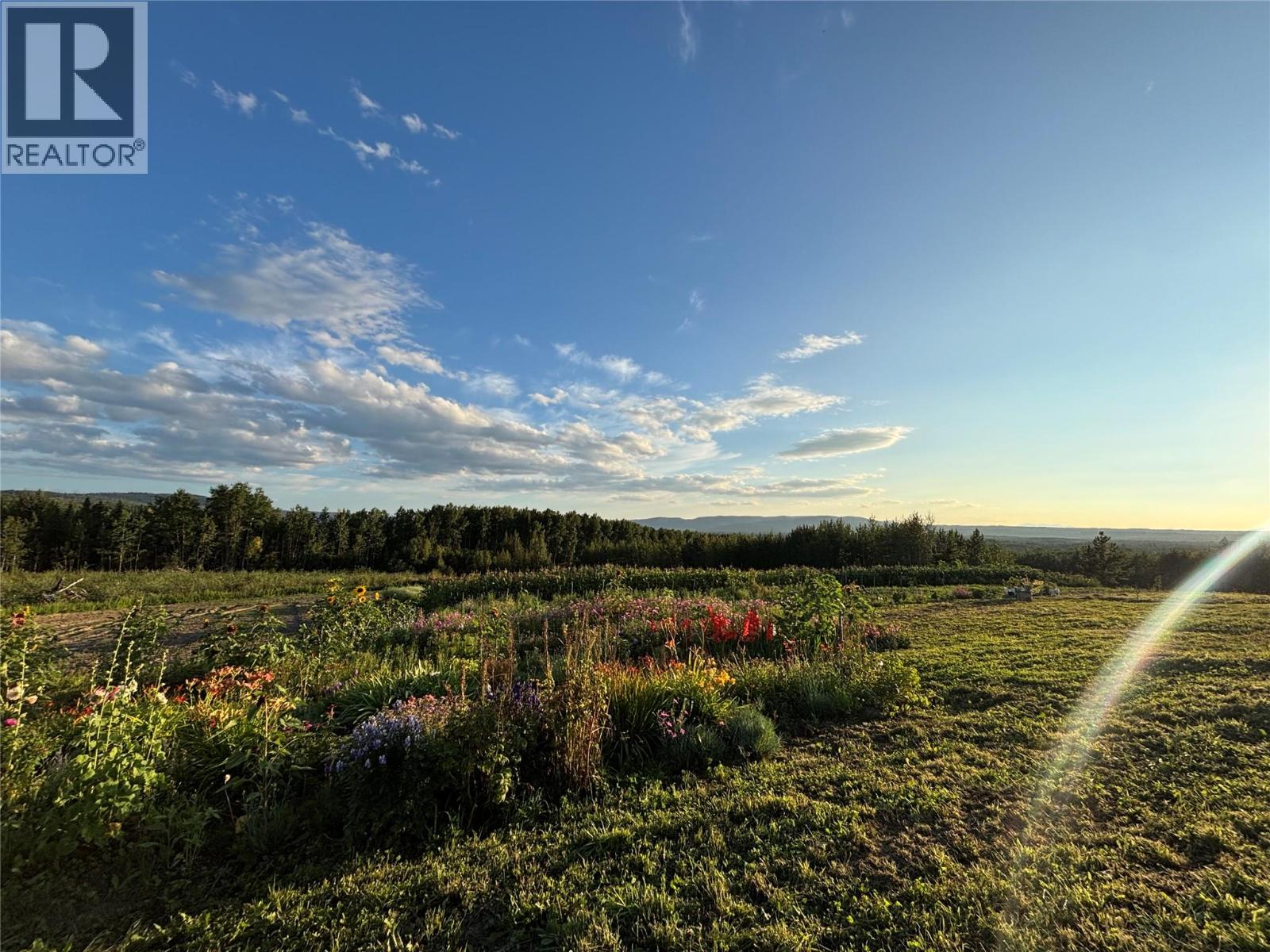 768,769,770,771 Hobbs Road Lot# Dlot, Chetwynd, British Columbia  V0C 1J0 - Photo 15 - 10397959