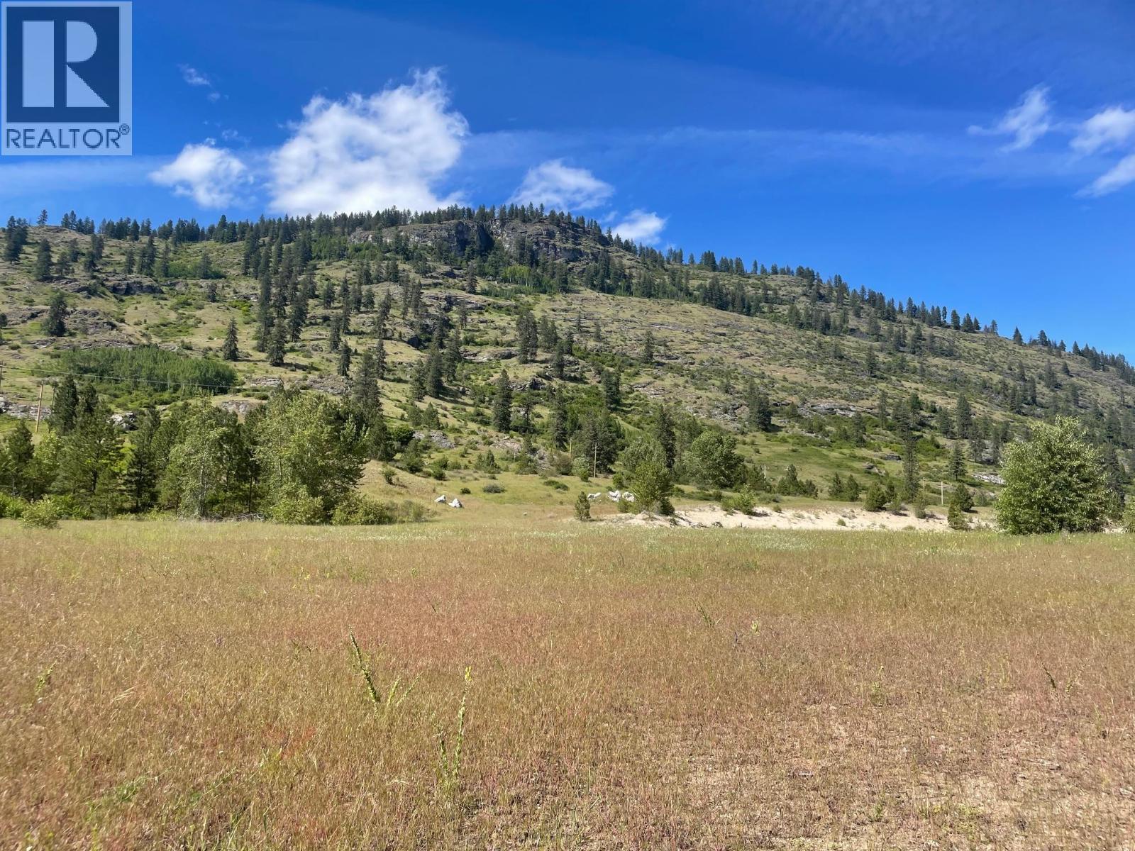 520 3 Highway, Christina Lake, British Columbia  V0H 1E0 - Photo 15 - 10398177