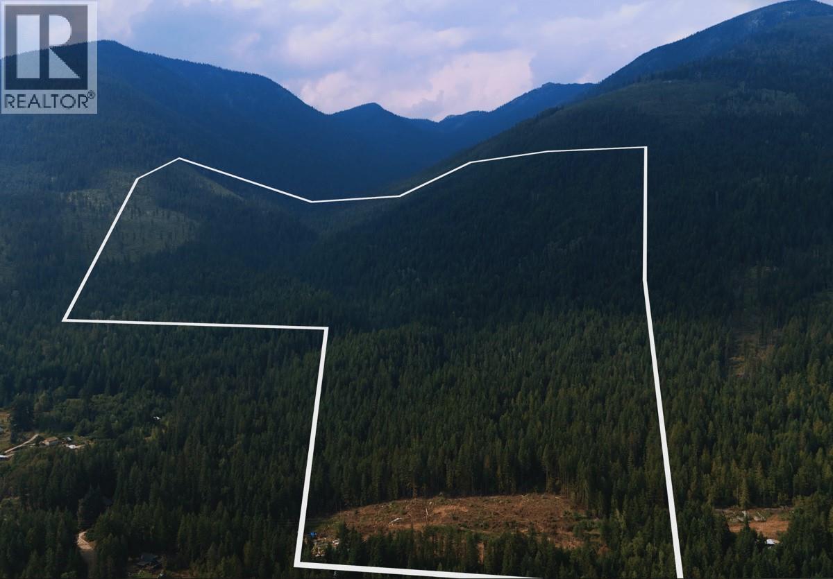 7025 Rogers Road, Balfour, British Columbia  V1L 6S5 - Photo 1 - 10397833