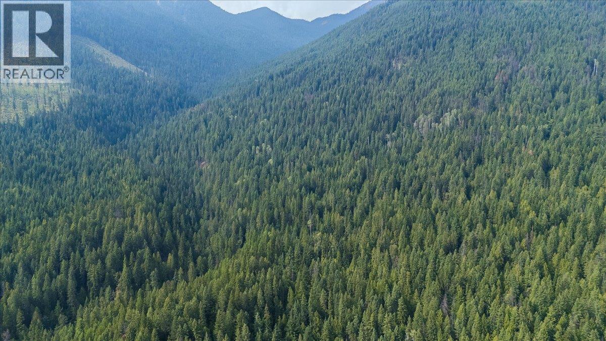 7025 Rogers Road, Balfour, British Columbia  V1L 6S5 - Photo 14 - 10397833