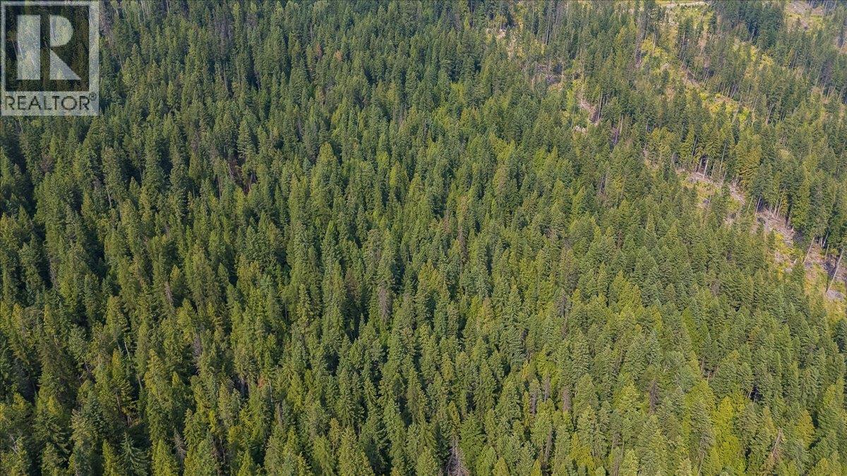 7025 Rogers Road, Balfour, British Columbia  V1L 6S5 - Photo 16 - 10397833