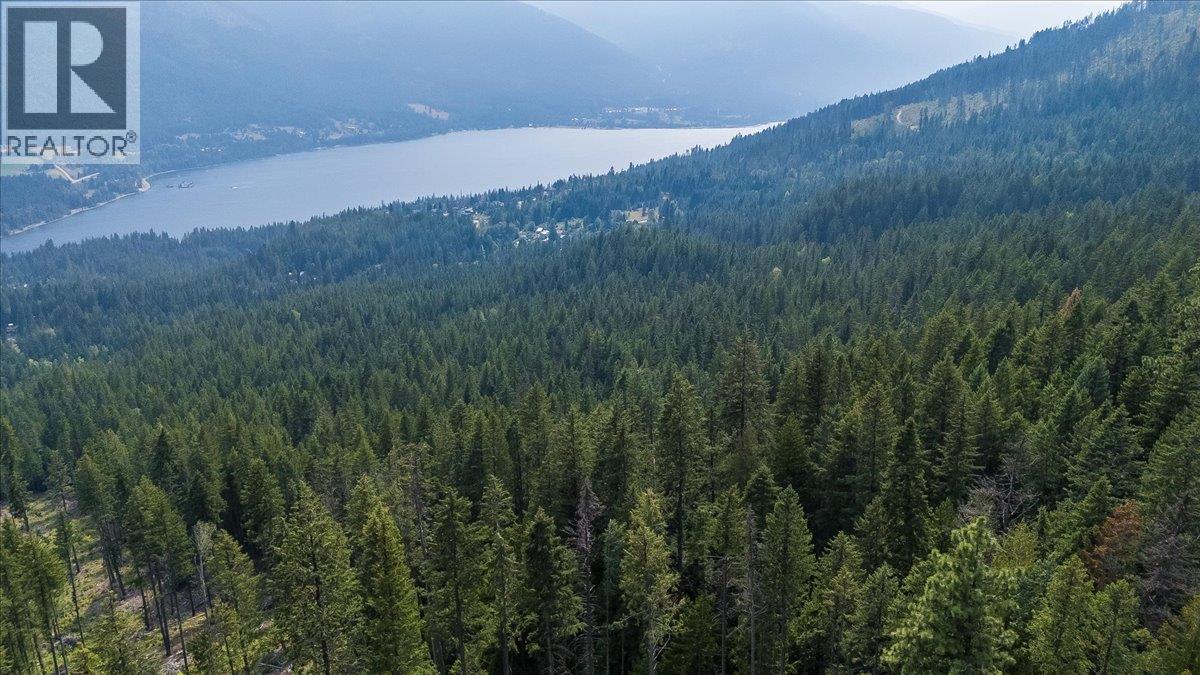 7025 Rogers Road, Balfour, British Columbia  V1L 6S5 - Photo 18 - 10397833