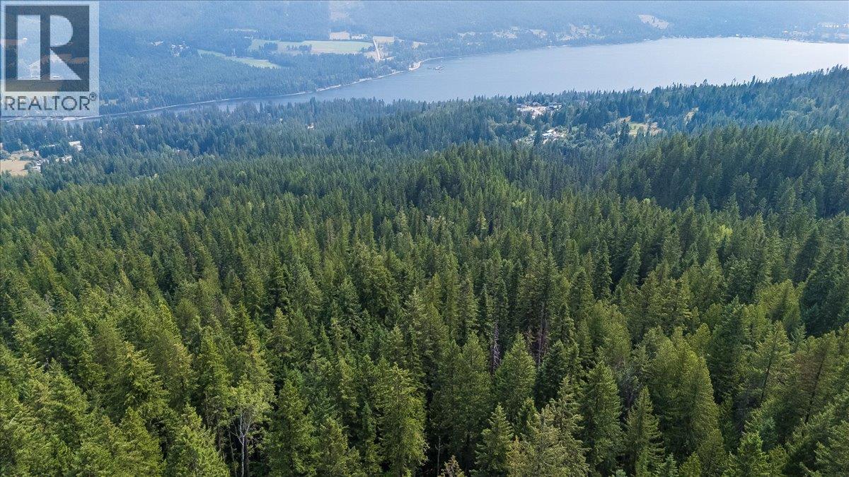 7025 Rogers Road, Balfour, British Columbia  V1L 6S5 - Photo 19 - 10397833