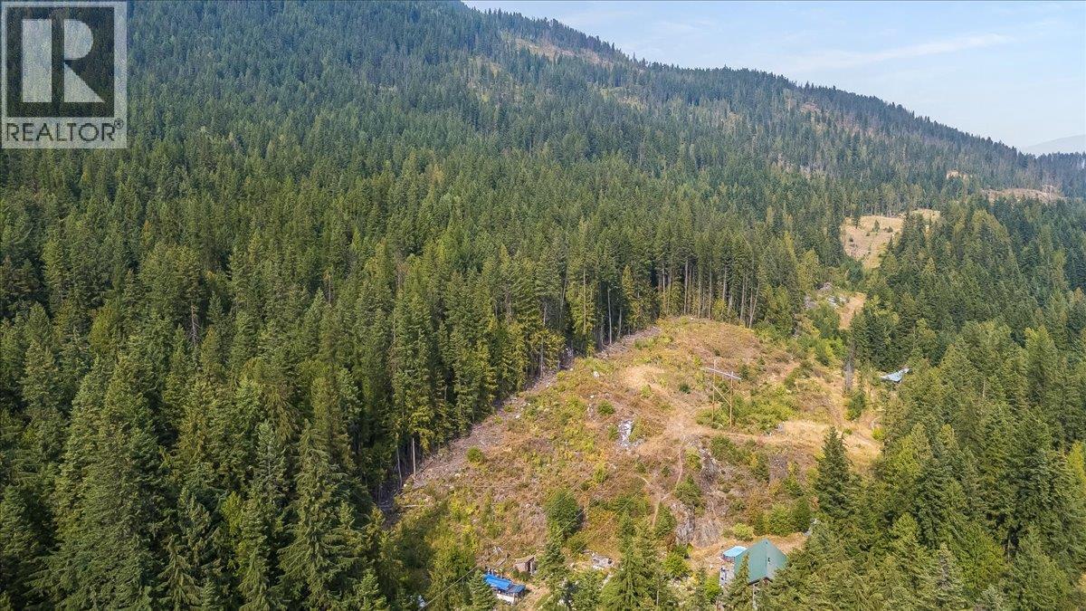 7025 Rogers Road, Balfour, British Columbia  V1L 6S5 - Photo 28 - 10397833