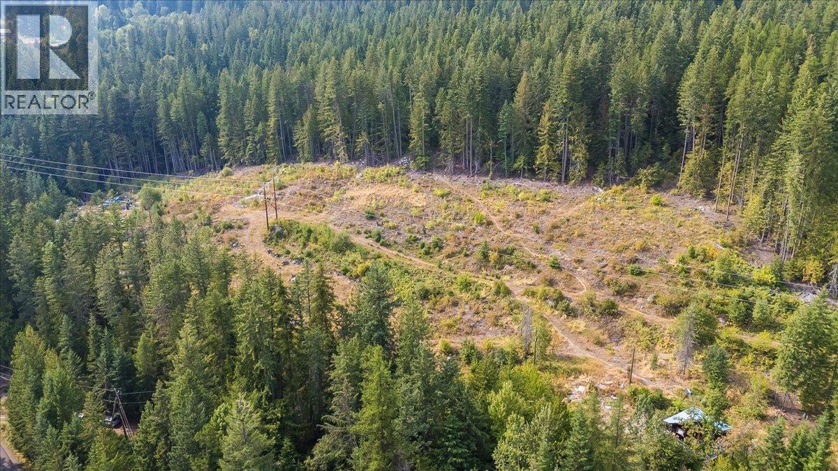 7025 Rogers Road, Balfour, British Columbia  V1L 6S5 - Photo 29 - 10397833