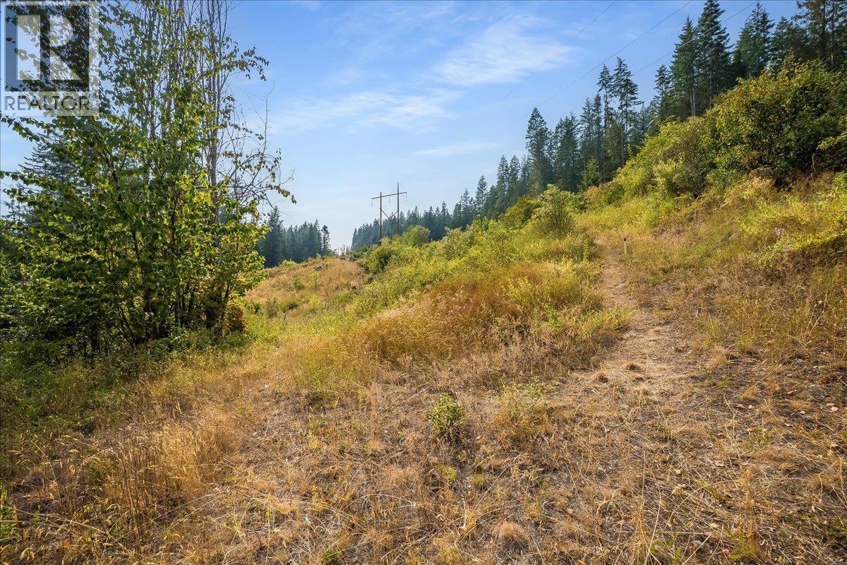 7025 Rogers Road, Balfour, British Columbia  V1L 6S5 - Photo 33 - 10397833