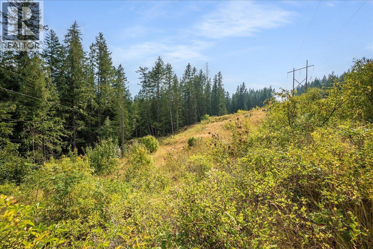 7025 Rogers Road, Balfour, British Columbia  V1L 6S5 - Photo 34 - 10397833