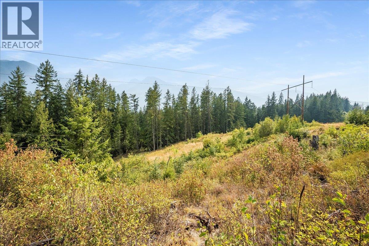 7025 Rogers Road, Balfour, British Columbia  V1L 6S5 - Photo 36 - 10397833