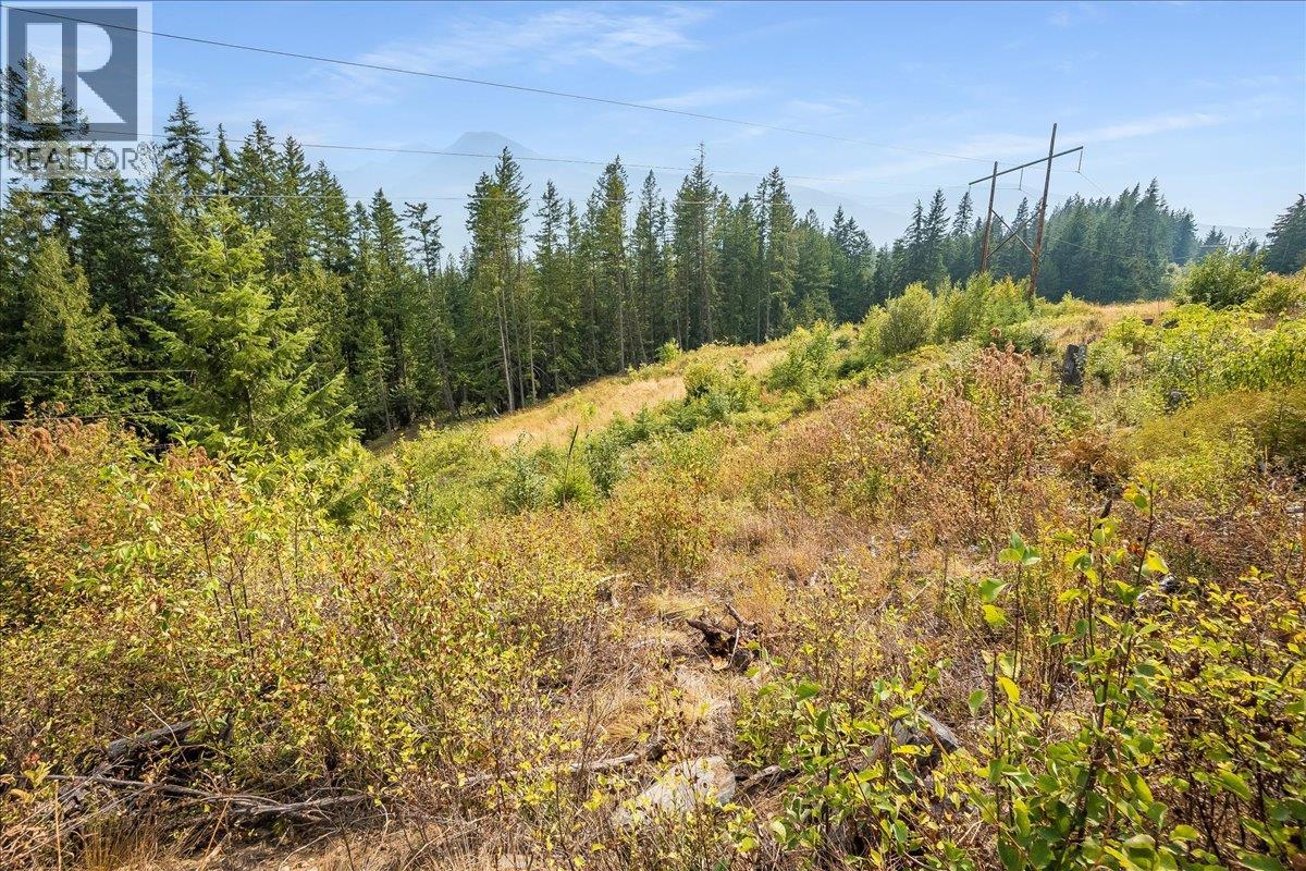 7025 Rogers Road, Balfour, British Columbia  V1L 6S5 - Photo 37 - 10397833