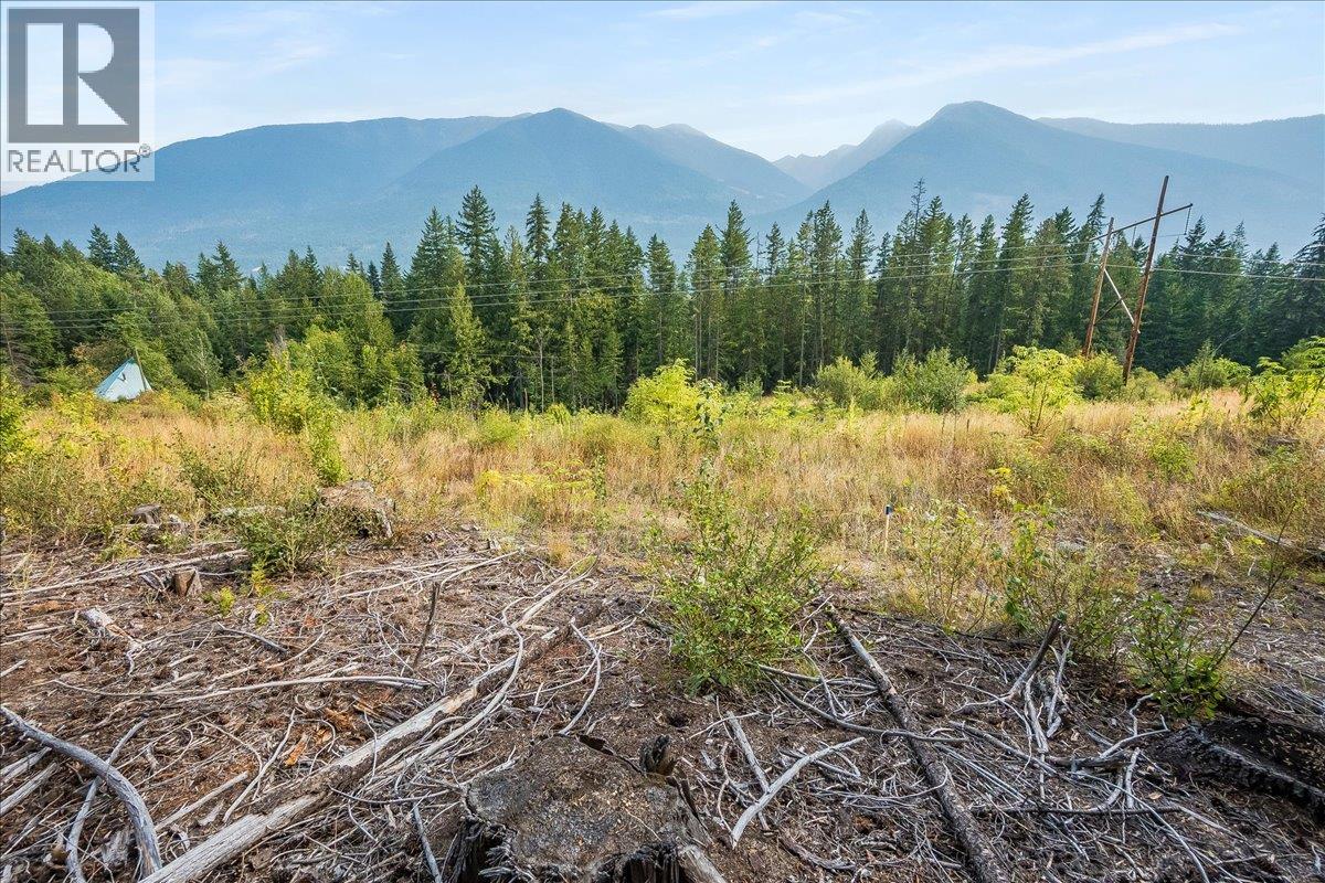 7025 Rogers Road, Balfour, British Columbia  V1L 6S5 - Photo 38 - 10397833