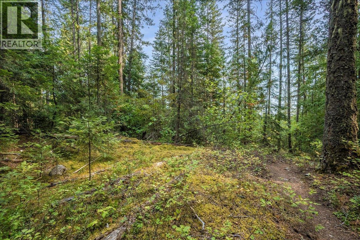 7025 Rogers Road, Balfour, British Columbia  V1L 6S5 - Photo 39 - 10397833