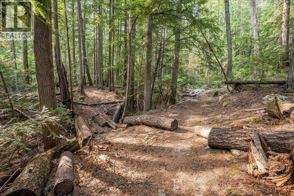 7025 Rogers Road, Balfour, British Columbia  V1L 6S5 - Photo 40 - 10397833