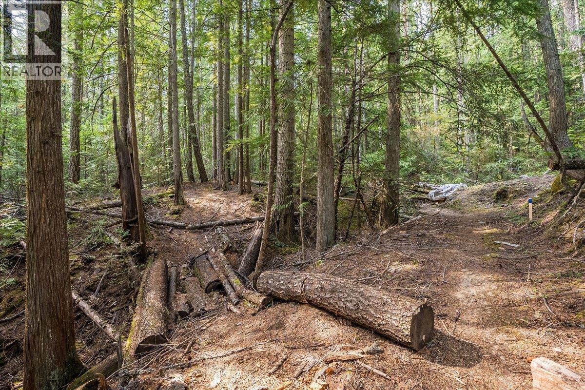 7025 Rogers Road, Balfour, British Columbia  V1L 6S5 - Photo 41 - 10397833