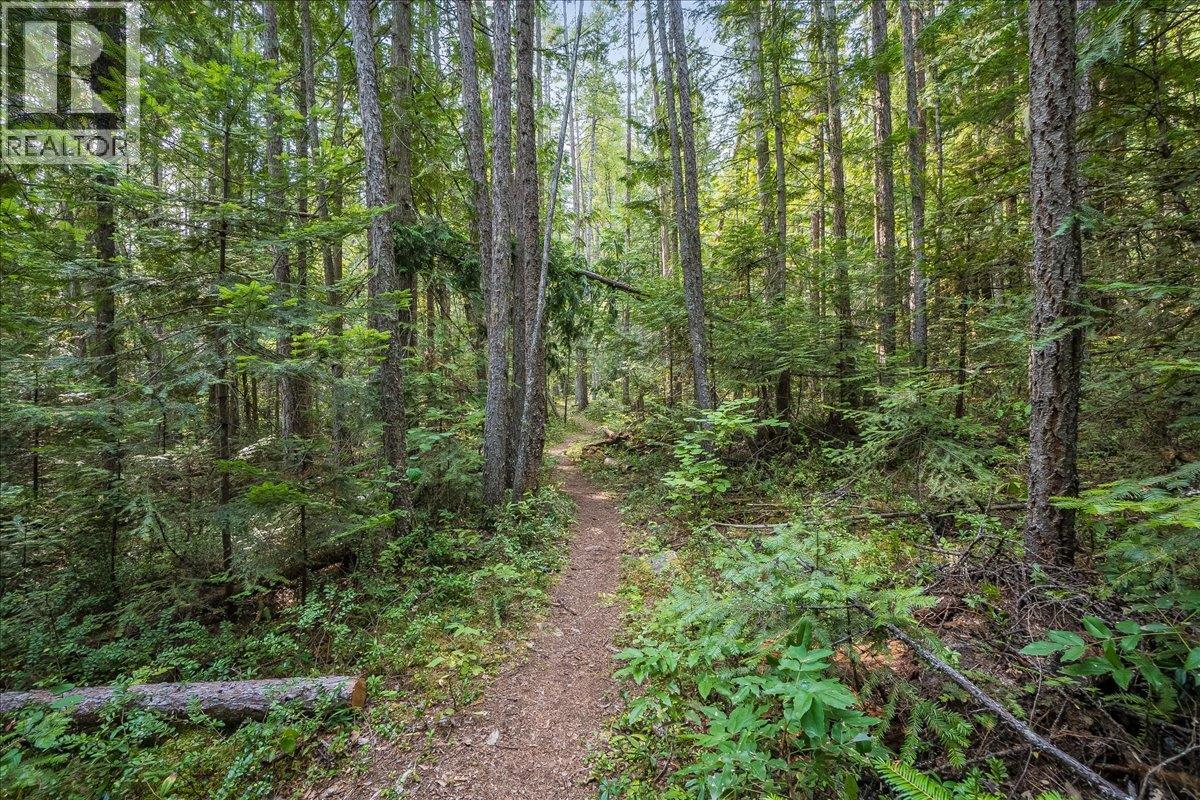 7025 Rogers Road, Balfour, British Columbia  V1L 6S5 - Photo 42 - 10397833