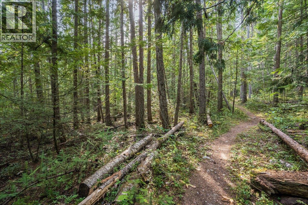 7025 Rogers Road, Balfour, British Columbia  V1L 6S5 - Photo 43 - 10397833