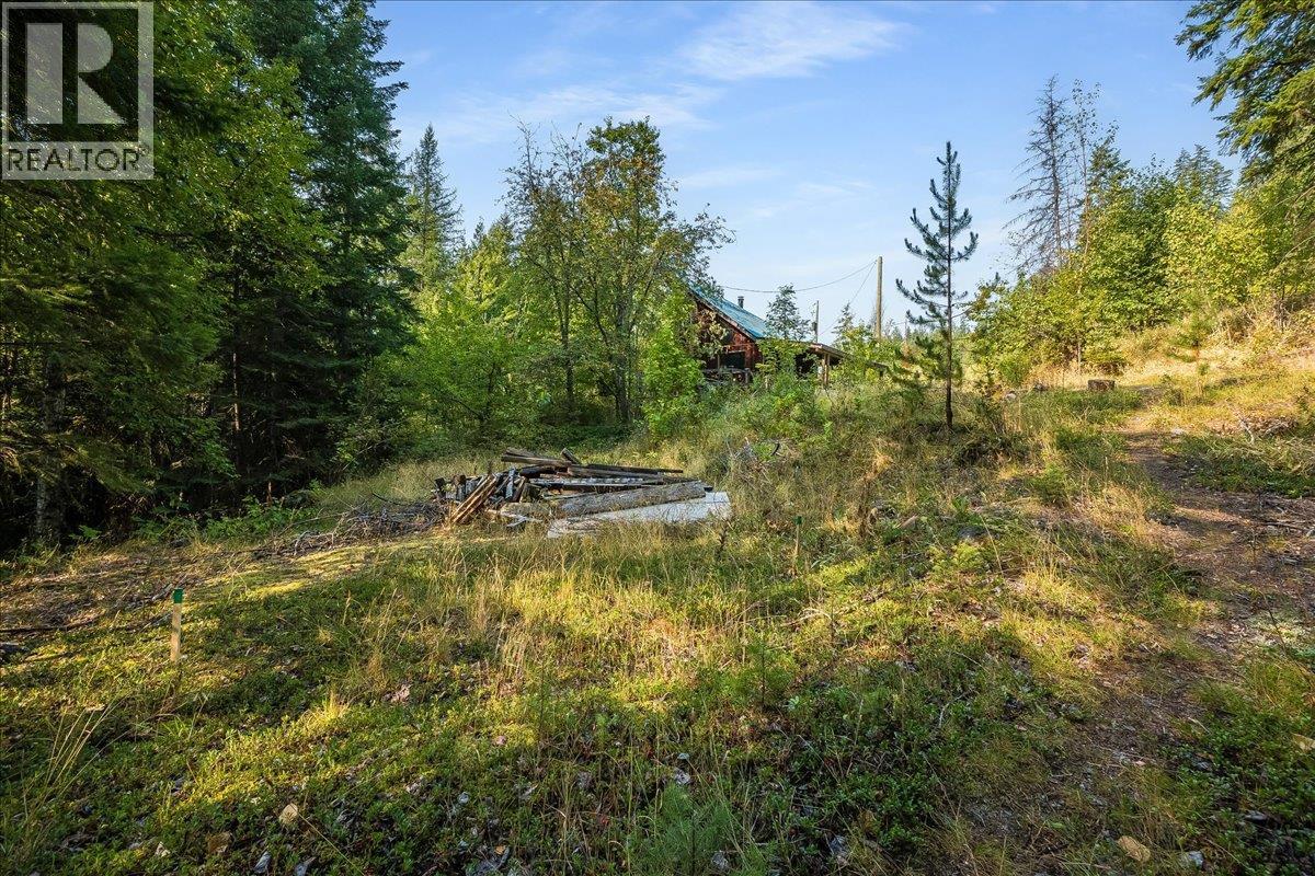 7025 Rogers Road, Balfour, British Columbia  V1L 6S5 - Photo 45 - 10397833
