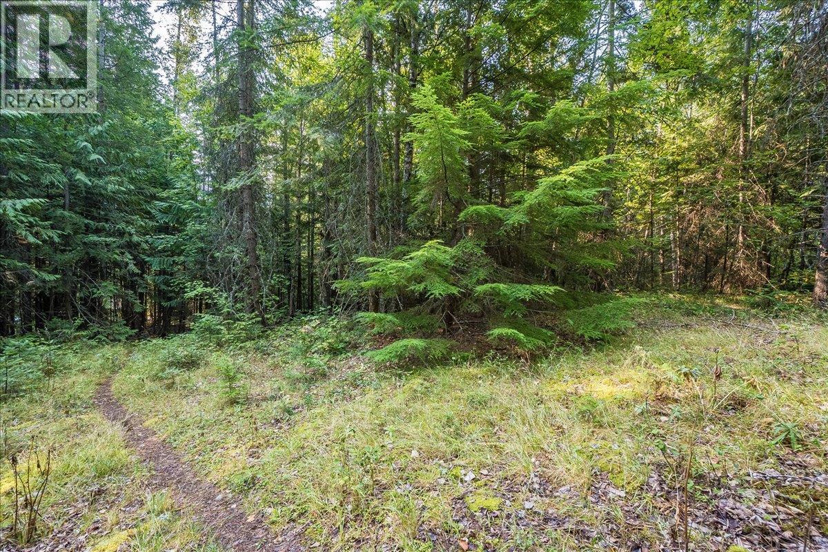 7025 Rogers Road, Balfour, British Columbia  V1L 6S5 - Photo 46 - 10397833
