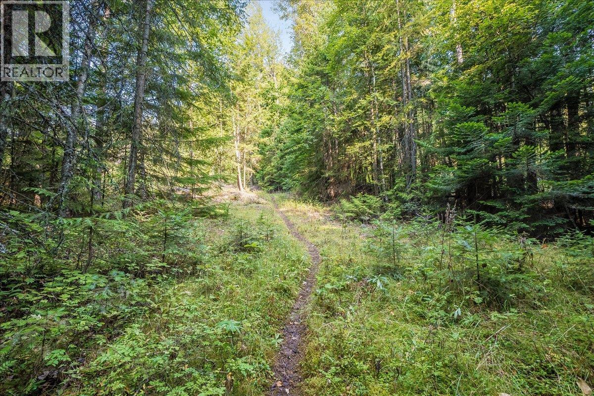 7025 Rogers Road, Balfour, British Columbia  V1L 6S5 - Photo 47 - 10397833