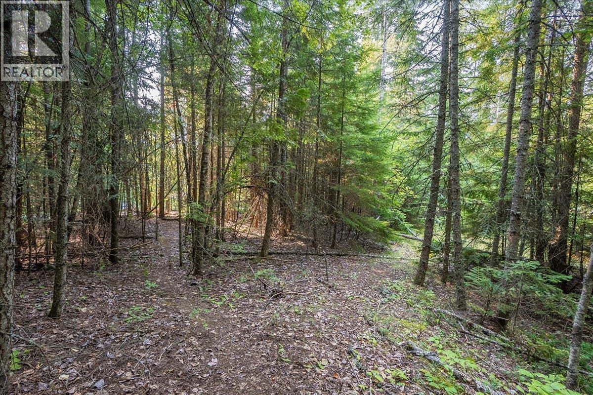 7025 Rogers Road, Balfour, British Columbia  V1L 6S5 - Photo 48 - 10397833