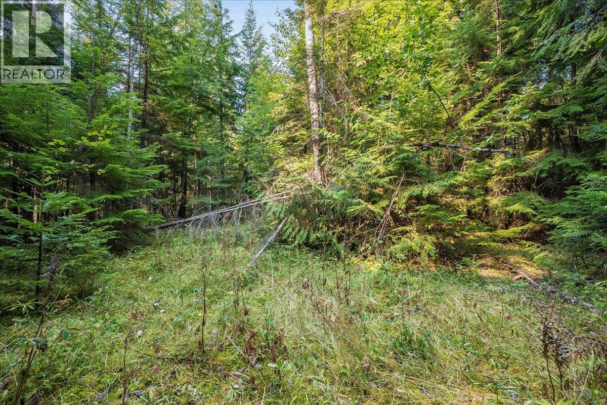 7025 Rogers Road, Balfour, British Columbia  V1L 6S5 - Photo 49 - 10397833
