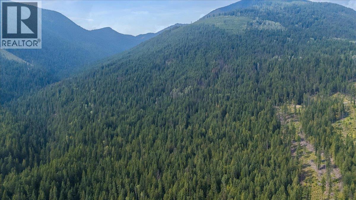 7025 Rogers Road, Balfour, British Columbia  V1L 6S5 - Photo 5 - 10397833