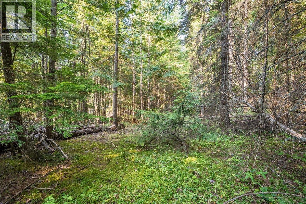 7025 Rogers Road, Balfour, British Columbia  V1L 6S5 - Photo 50 - 10397833