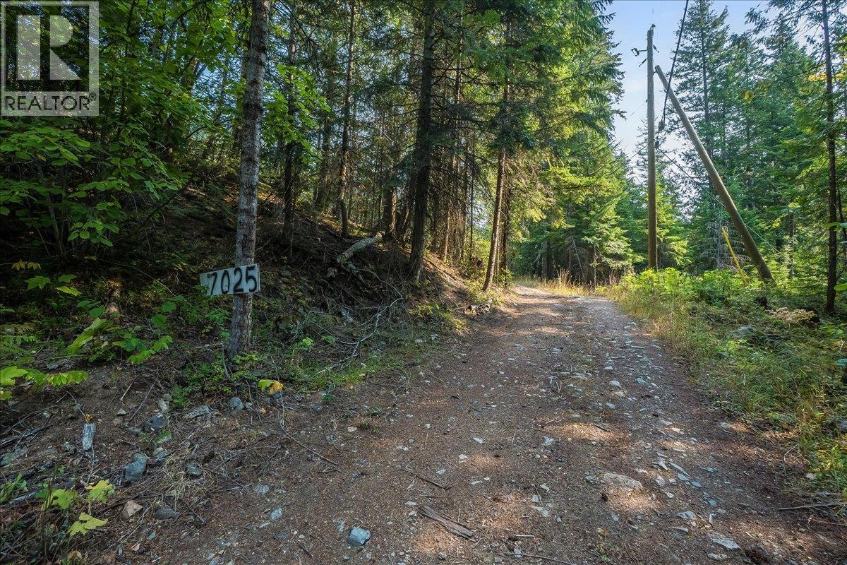 7025 Rogers Road, Balfour, British Columbia  V1L 6S5 - Photo 51 - 10397833