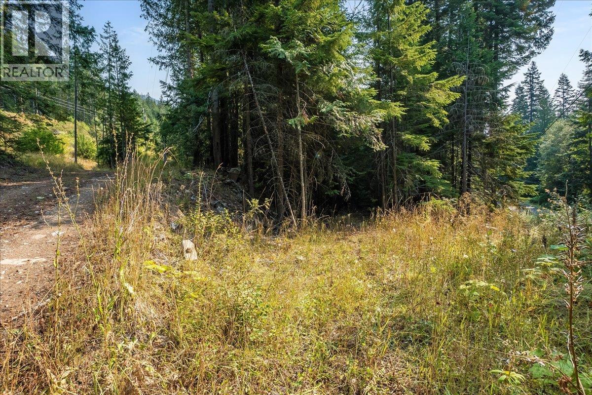 7025 Rogers Road, Balfour, British Columbia  V1L 6S5 - Photo 52 - 10397833