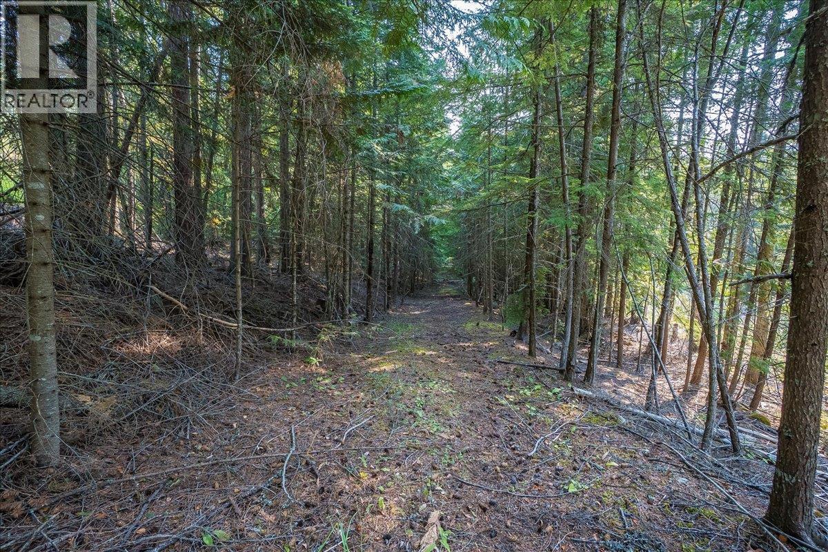 7025 Rogers Road, Balfour, British Columbia  V1L 6S5 - Photo 53 - 10397833