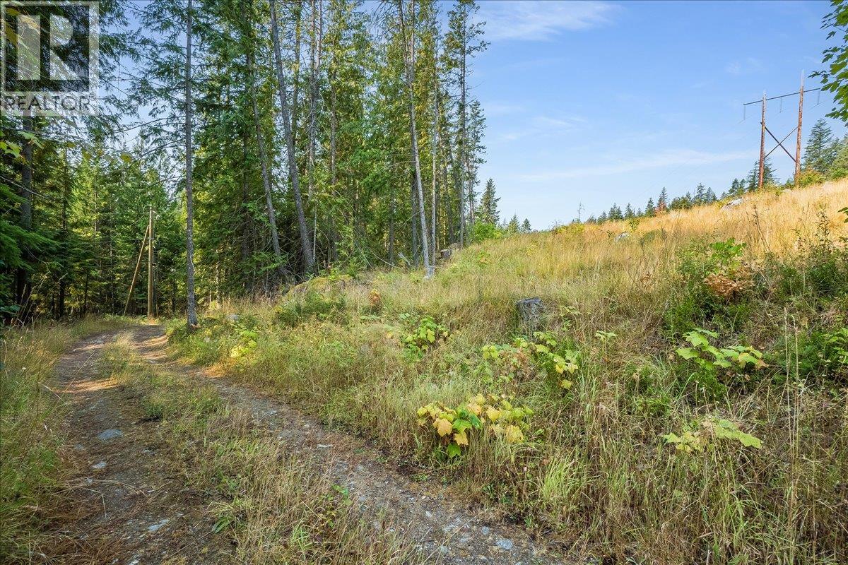 7025 Rogers Road, Balfour, British Columbia  V1L 6S5 - Photo 55 - 10397833