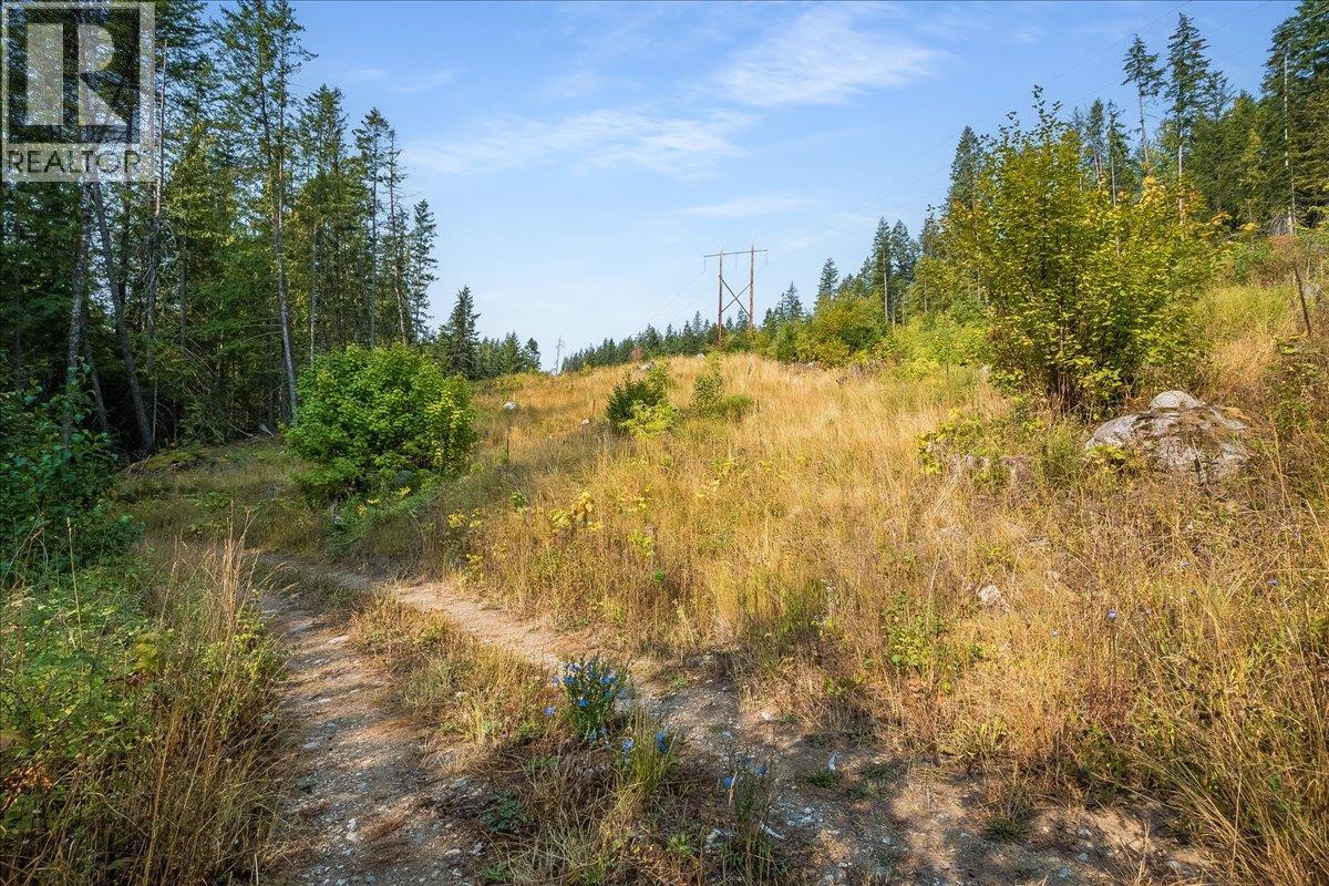 7025 Rogers Road, Balfour, British Columbia  V1L 6S5 - Photo 56 - 10397833